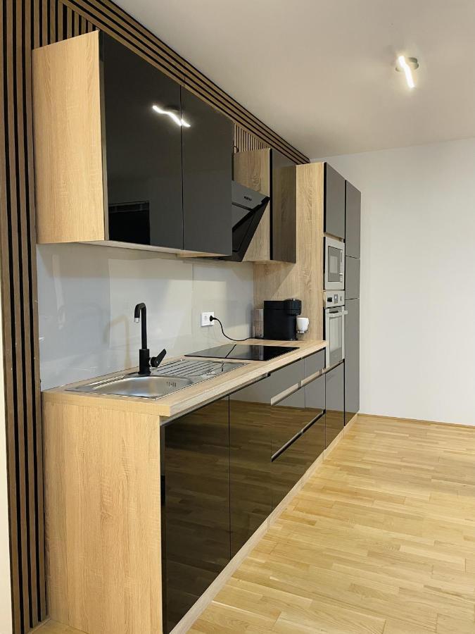 Danube Skyline Executive Viena